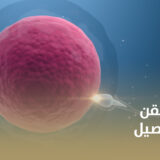 تجربتي مع الحقن المجهري بالتفصيل