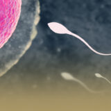 التلقيح الصناعي في الدمام