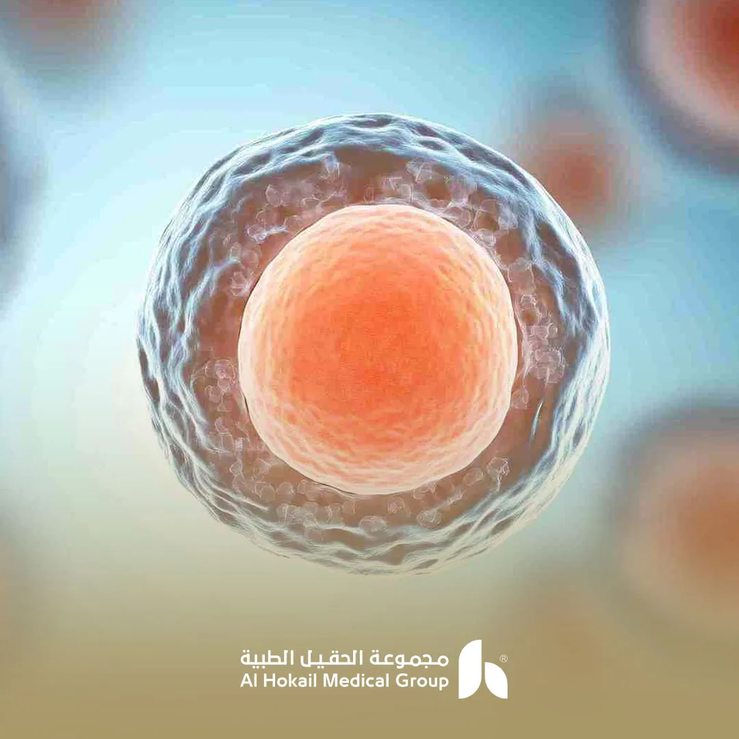 حجم البويضة المناسب للتلقيح الصناعي