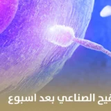 علامات نجاح التلقيح الصناعي بعد اسبوع