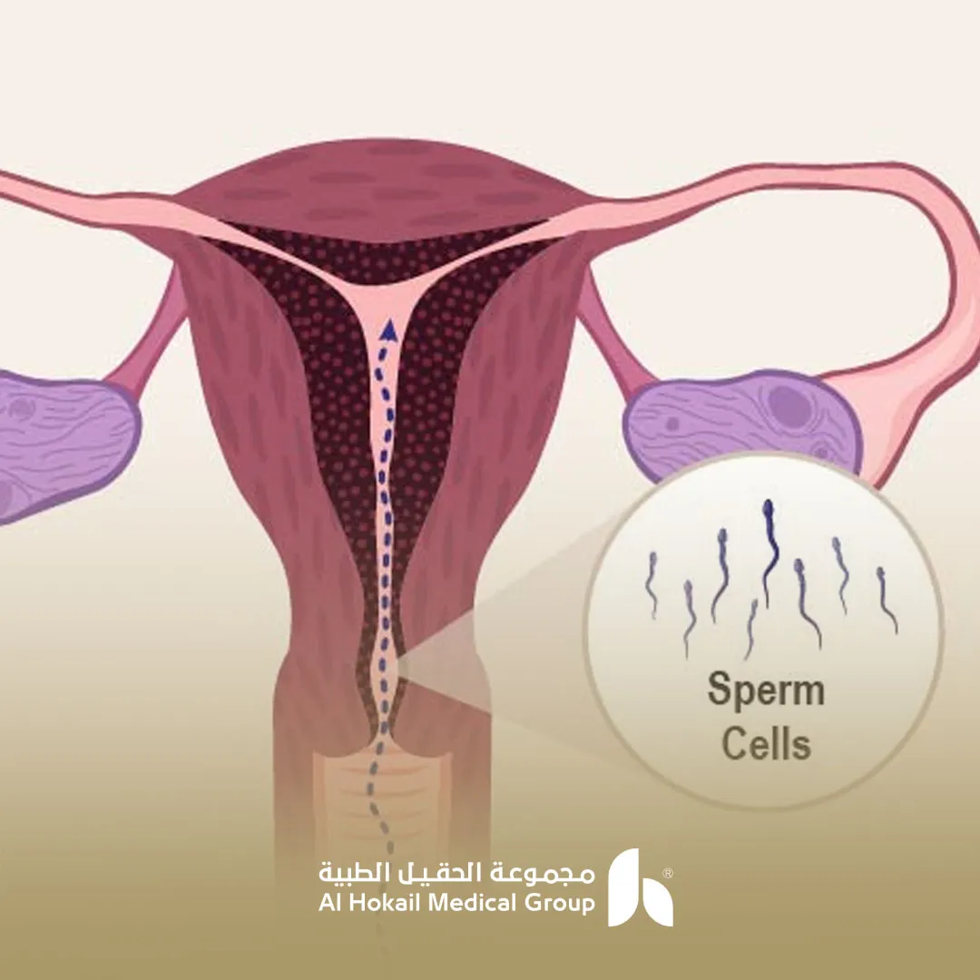 كيفية الحفاظ على السائل المنوى داخل الرحم
