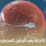 اعراض نجاح ثبوت الأجنة بعد الحقن المجهري